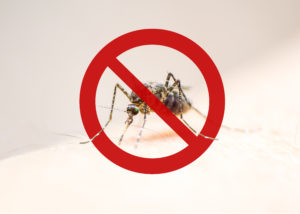 Avoid Mosquito bites